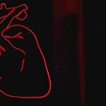 What the Heart Wants