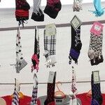 Same Socks Marriage
