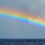 Trump Sings the Rainbow