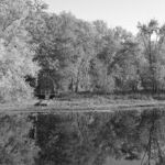 A Dear Little Lost Place