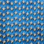 Treating Veterans Like Dogs