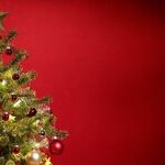 All-American Tree