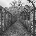 The Nazis Never Win, and the Confederates Always Quit