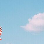 Only 3 Colors on the 'Murican Flag, and Ain't None of 'Em Black
