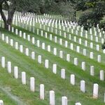 The Noble Dead