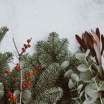 A Santa by Any Other Name