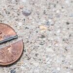 Abe Lincoln and the Penny