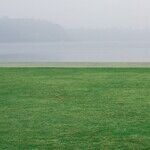 An American Landscape