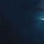 The Silence of the Whales