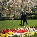 Obama Keeps Rosy Eye on History With Thorny Garland Nomination