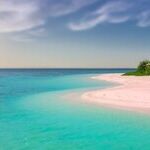 Letter From an Island Paradise: Obama to Trump