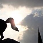 Trump and American History: The Wrong North Star