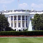 The Busy House, the Lazy Senate and the Crazy White House