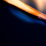 Trump Spitfire Burns the Land: Act 2 in American Politics