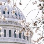Don't Fence the Capitol In or Out