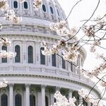 A Vote on Voting Rights: A stress test for Democracy