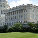 A Sweet Summer Day in The Senate