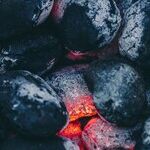 Field Notes: The Summer Burn Of '22