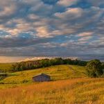 The Heartland After Heartburn: Wisconsin and Washington