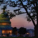 In Defense of Elders in Politics