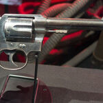 The Constitution, the President and Guns