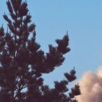 War and the Separation of Powers