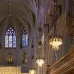Metaphor in a Government-Founded Church