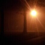 Trump's Beast in the Night