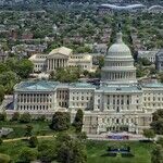 'Gun Violence Is the Real Emergency'