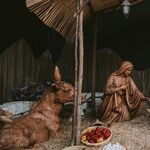 Christmas in America