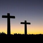 Hope for the Dead