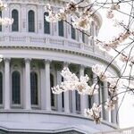 Republicans and the Growth of Government