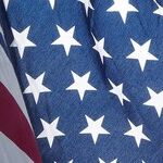 Freedom's Extinction