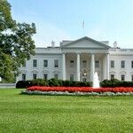 What If Voting Is Fruitless?