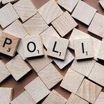 A Viewer's Guide to the Midterm Elections