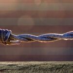 What Voters Would Include in Comprehensive Immigration Reform