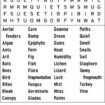 International Wordfind for Apr 03, 2026