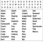 International Wordfind for Oct 23, 2026
