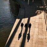 A Society of Strangers