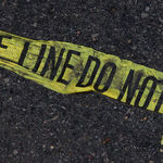 Balancing Vigilance and Fear