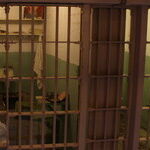 Death Sentence in California More Often a Life Sentence