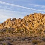 Regulators All Wet on Cadiz Water Project