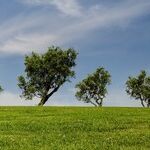 Technological Changes Outpacing Climate Law