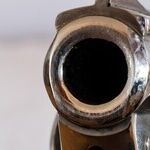 Require Due Process to take Guns Away