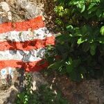 Trump Should Continue Helping Puerto Rico Recover