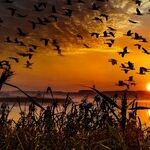 Daylight Saving Time Should Fade Away