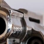 The National Scourge Comes to Parkland