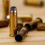 President Safely Back in NRA's Pocket