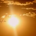 Barbara Bush -- a Life Well-Lived