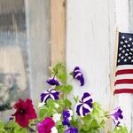 Divided Views On America's Path